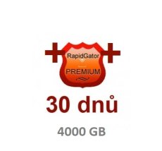 Premium account on Rapidgator ++ for 30 days