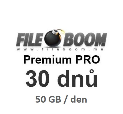 Premium Account Fileboom PRO for 30 days