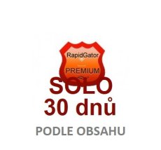 Premium account on Rapidgator SOLO for 30 days